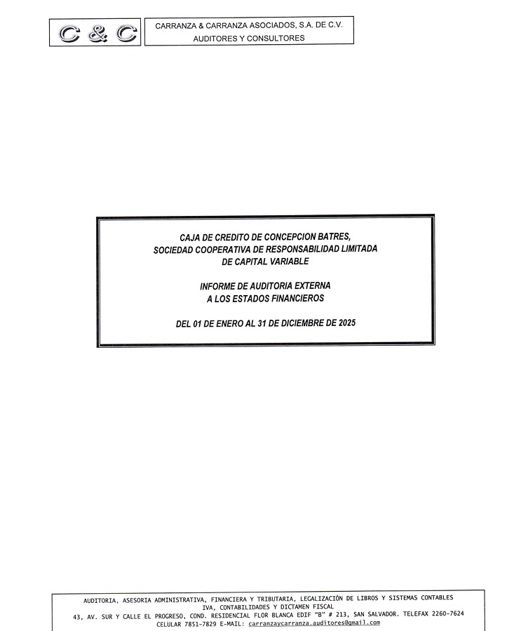 Informe Anual de Auditor Externo