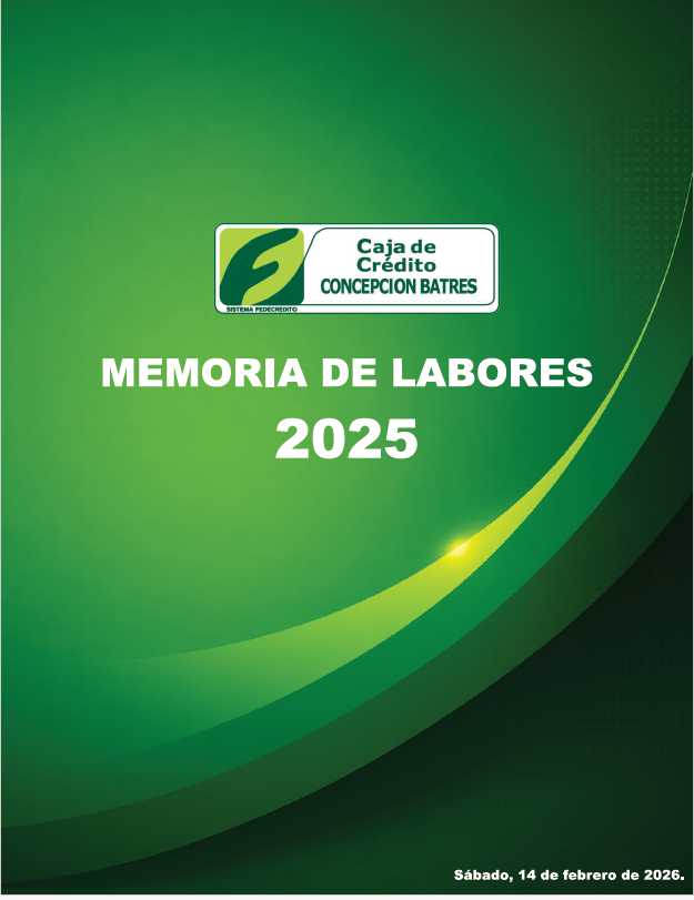 Memoria 2025